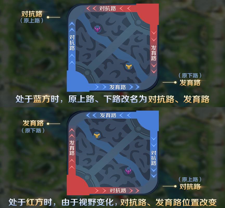 王者荣耀射手刷野攻略最新，王者荣耀射手怎么刷经济快？