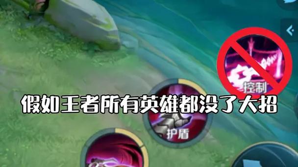 王者荣耀没有技能了_王者技能不全